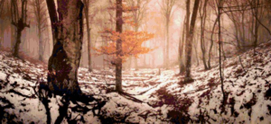 Первый снег - туман, снег, природа - предпросмотр