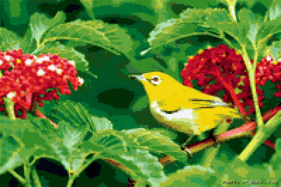 желтая птица с калиной - птица - предпросмотр