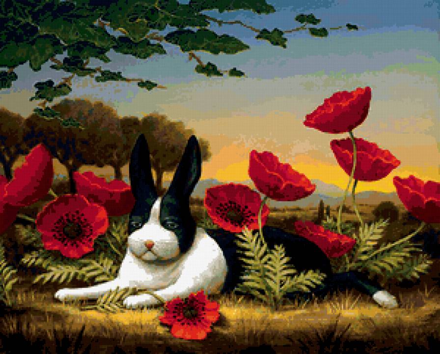 кролик - предпросмотр