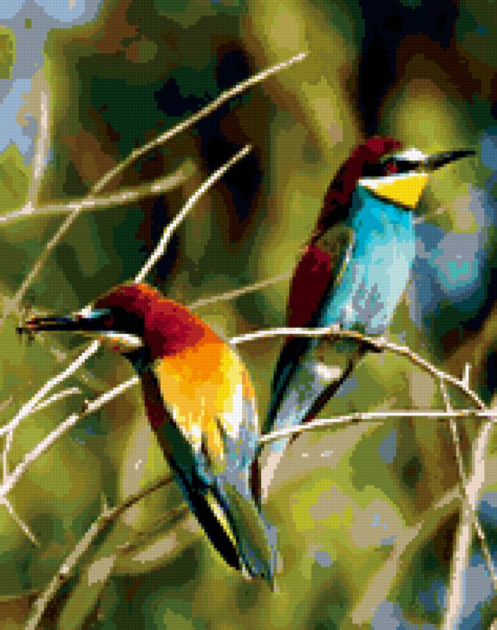 две яркие птицы - птица - предпросмотр