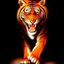 Схема вышивки «ТИГР»