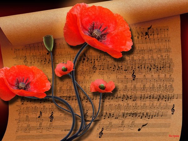 В сонном сумраке красного цвета - ноты, маки - оригинал