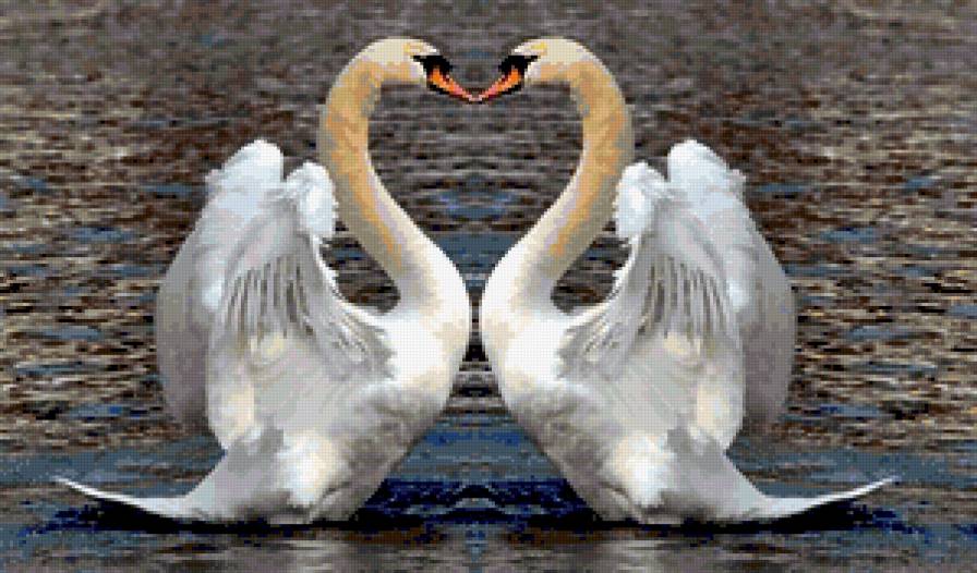 Лебеди - пара, лебеди - предпросмотр