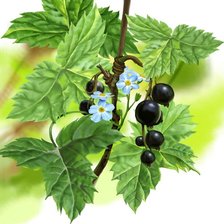 Схема вышивки «№293633»