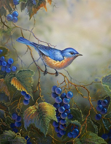 №293644 - оригинал