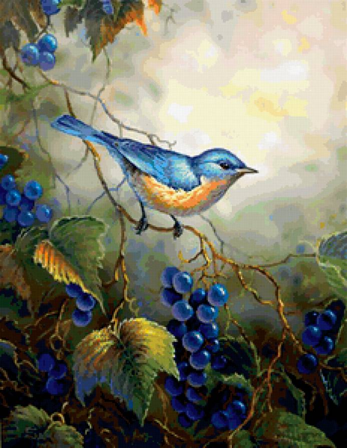 №293644 - предпросмотр