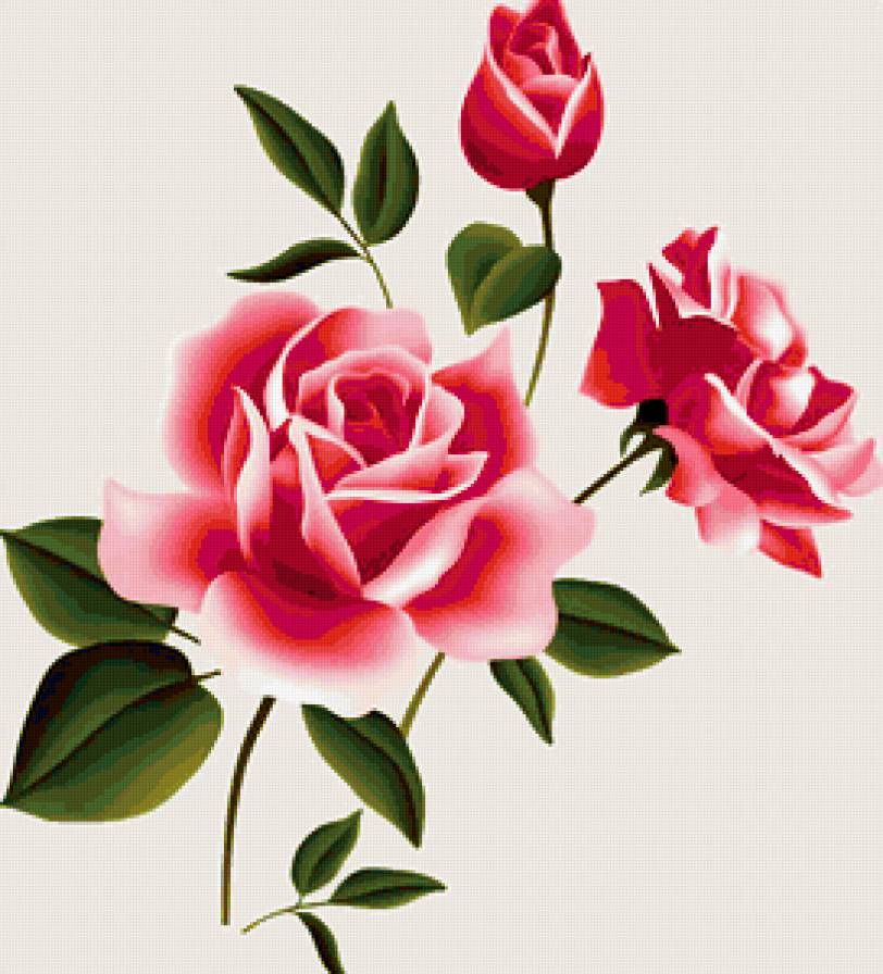 нежная роза - предпросмотр