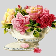 розы в вазе