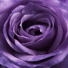 Схема вышивки «025»