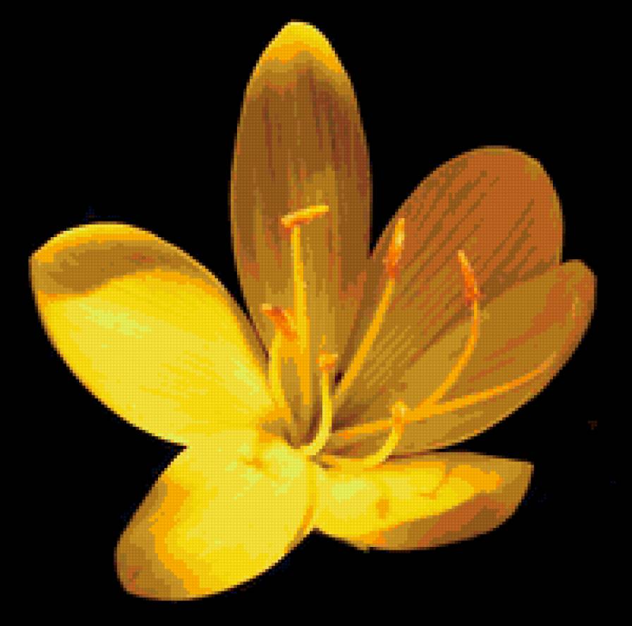 032 - цветы - предпросмотр