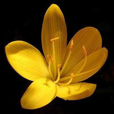 Схема вышивки «032»