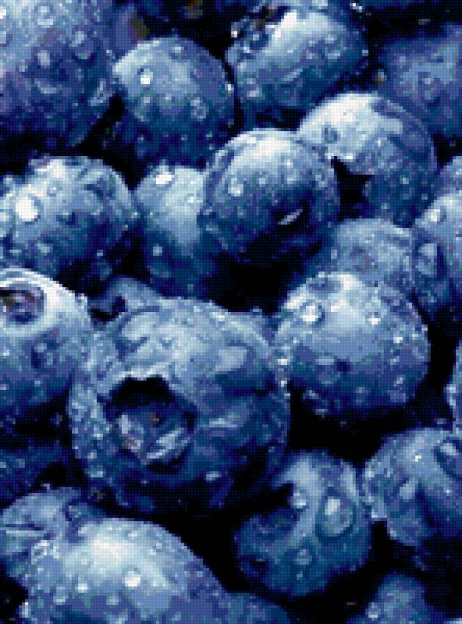 037 - фрукты, ягоды - предпросмотр