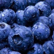 Схема вышивки «037»