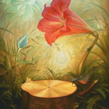 володимир куш