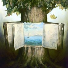 володимир куш