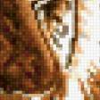 Предпросмотр схемы вышивки «тигр красавей» (№294144)