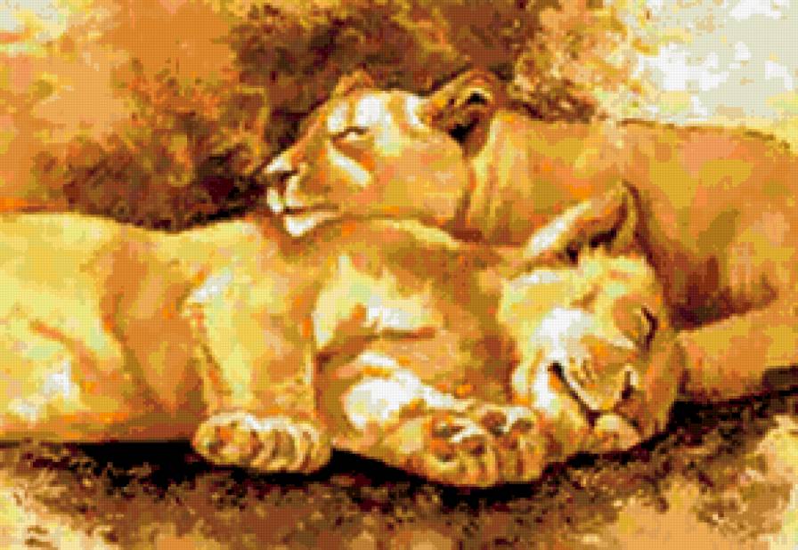 львы - животные, лев, тигр - предпросмотр