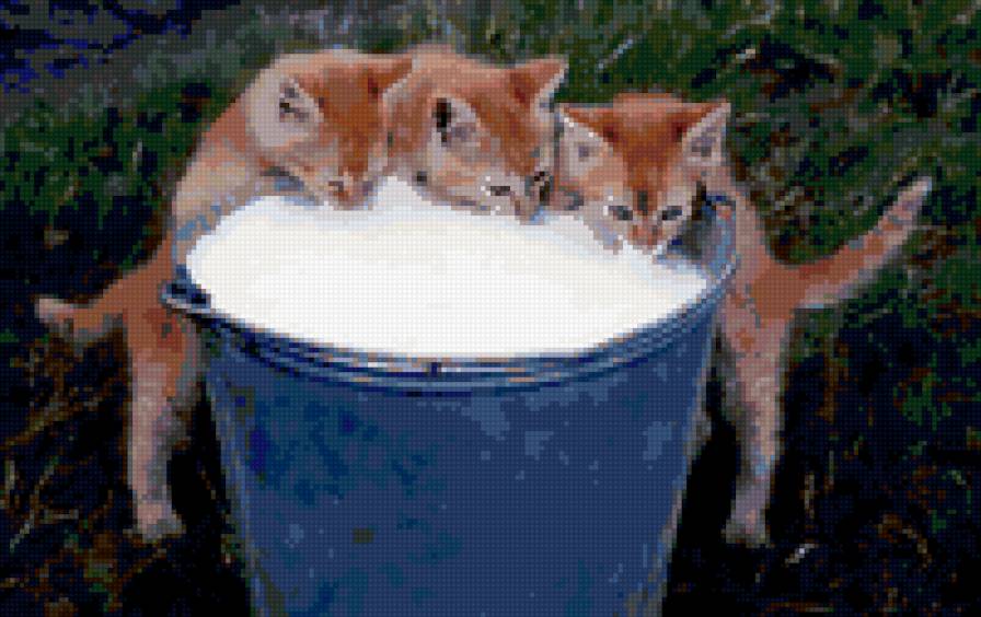 трио - кошки - предпросмотр