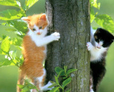 Схема вышивки «нам сверху видно все. ты так и знай»