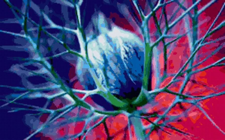 №294301 - цветы, розы, букеты - предпросмотр