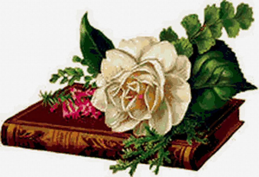 №294378 - букеты, цветы, розы - предпросмотр