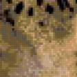 Предпросмотр схемы вышивки «леопард» (№294408)
