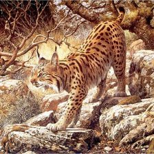 Схема вышивки «рысь»