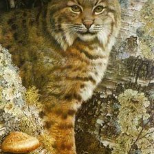 Схема вышивки «рысь»