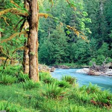 Схема вышивки «Краски лета»