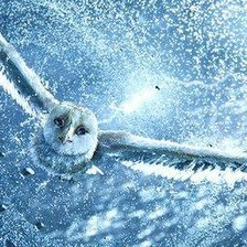 Схема вышивки «серия "птицы"»