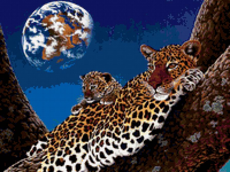 пара леопардов - предпросмотр