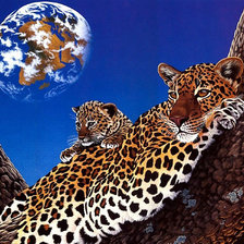 Схема вышивки «пара леопардов»