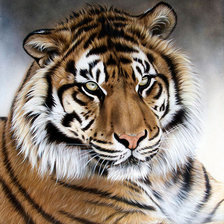 Схема вышивки «ХУДОЖНИК - Sandi Baker»