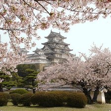 сакура, храм