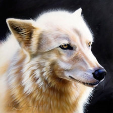 Схема вышивки «ХУДОЖНИК - Sandi Baker»