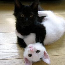 Схема вышивки «серия "животные"»