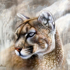 Схема вышивки «ХУДОЖНИК - Sandi Baker»