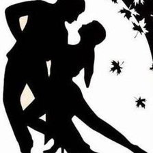 Схема вышивки «черно белое танго»