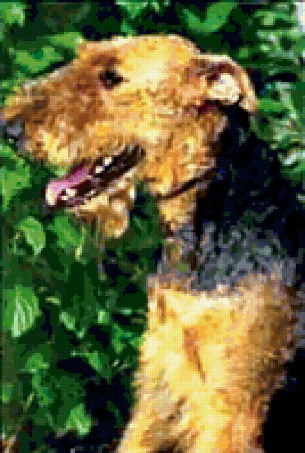 Ердельтер`эр - предпросмотр