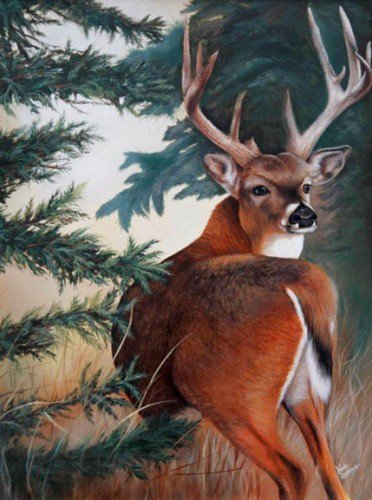 Олень - природа, животное, рога, деревя, лес, олень - оригинал