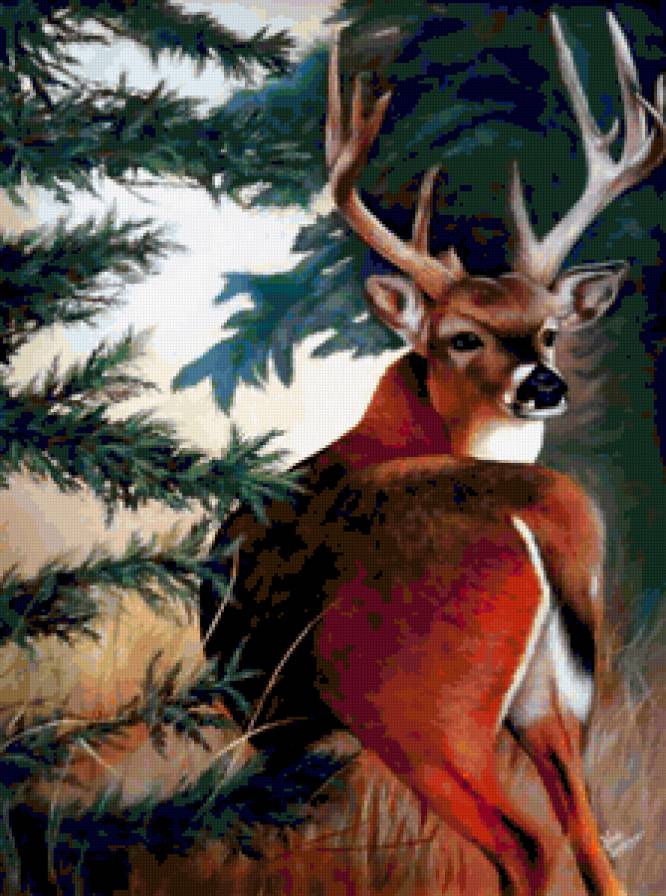 Олень - рога, природа, животное, деревя, лес, олень - предпросмотр