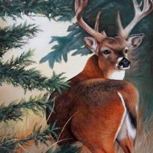 Схема вышивки «Олень»