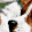 Предпросмотр схемы вышивки «песики» (№294954)