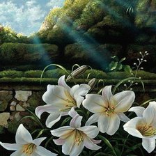 Схема вышивки «лилии»