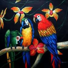 Схема вышивки «попугаий»