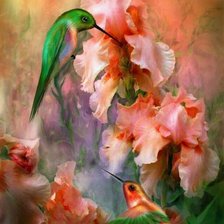 Схема вышивки «ирисы»