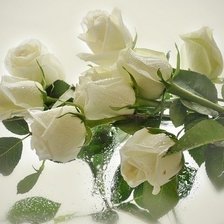 Схема вышивки «розы»