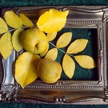 Схема вышивки «панно»