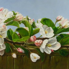 Схема вышивки «№295055»