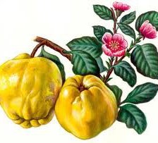 Схема вышивки «№295074»